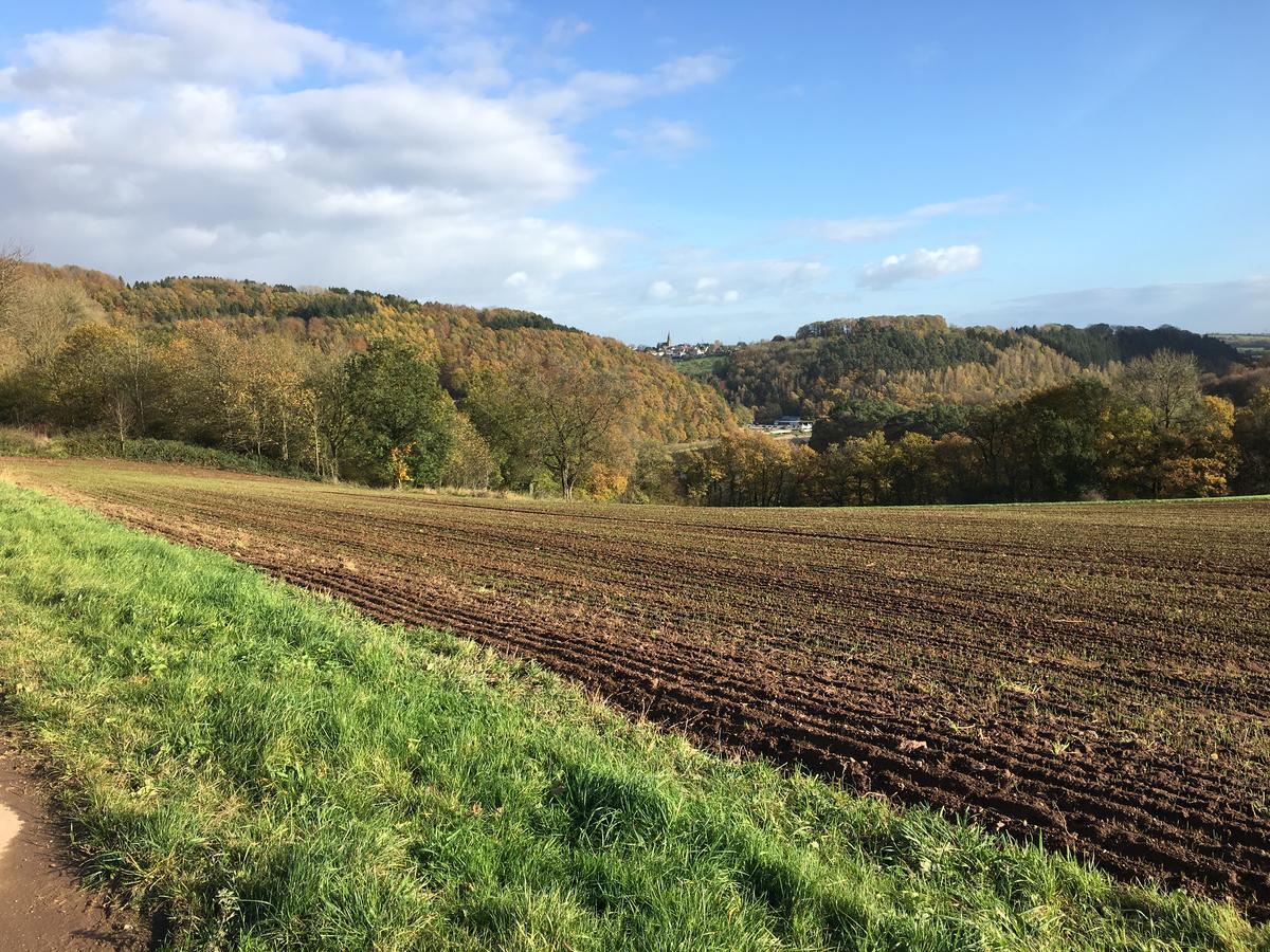 Ferienhaus Stausee Bitburg Biersdorf Esterno foto
